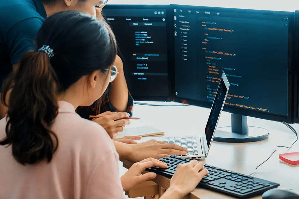 Laew Tae Website Development, Ongoing Website Maintenance and Updates